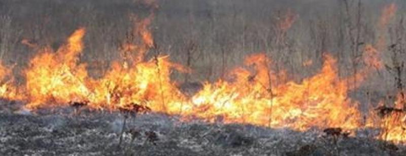  �������� ����� ��������� ��������� ������ �������� ����������� 