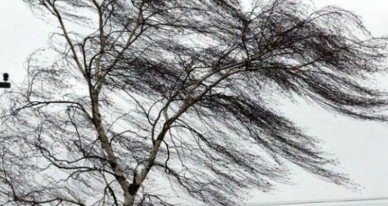  �������� ������� ��������� ������� ������ ����� 