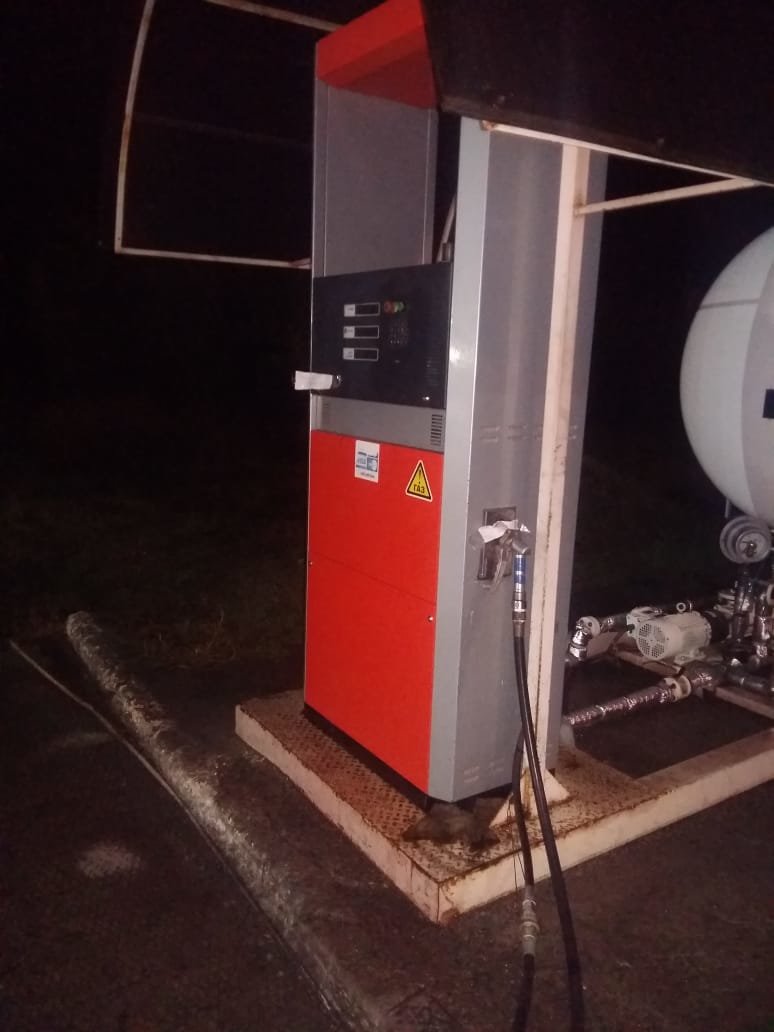  ���������� ������ ���������� ���������� �������� 