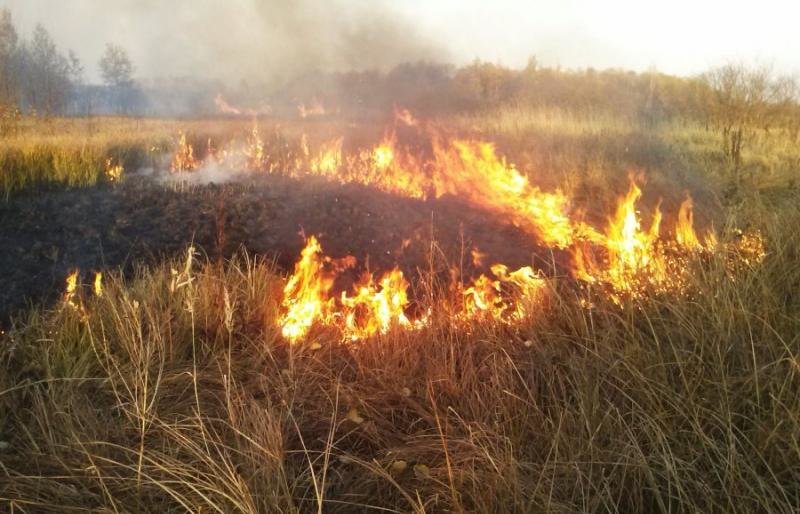  ������ ������� ��������� ������� ������� ���� 