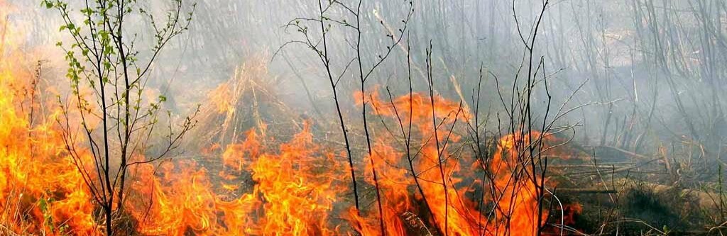  ��������� ������������� ������� ������ �������� ��������� 