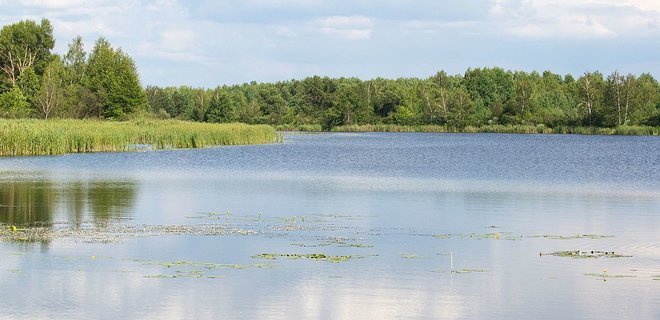  ��������� �������� ����� ������� ������������ ������ ������� ����� 