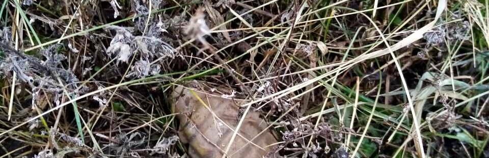  ���������� ������ ����������� ������ ���������� ������� 