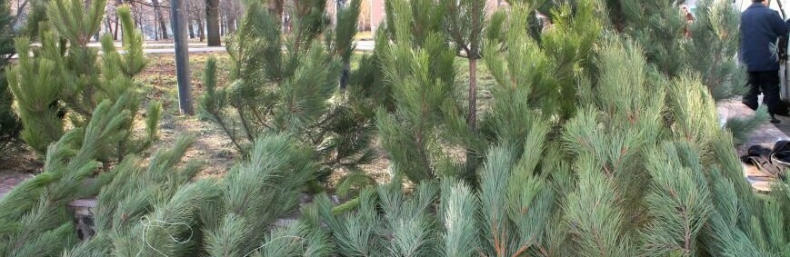  ���� ��� ������ ������� �������� ����� 