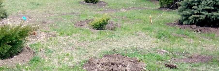  ������� ������� ������� �������� 