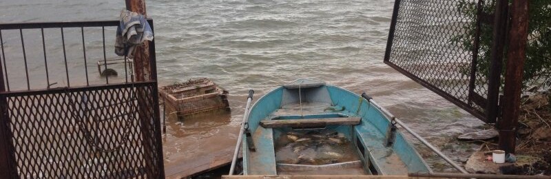  ���������� ������ ������� ������ ��������� ������ ���� ����� 