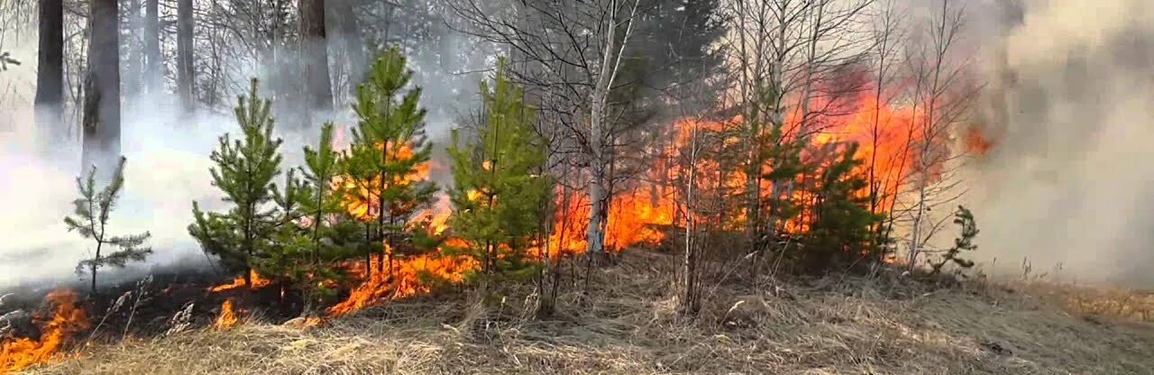  ��������� ������������� ������������ �������� ��������� �������� ������� 