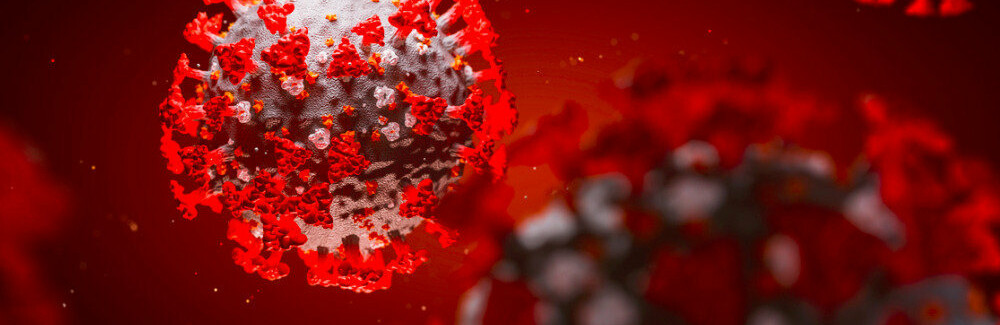  ������� ������������ ������ covid-19 