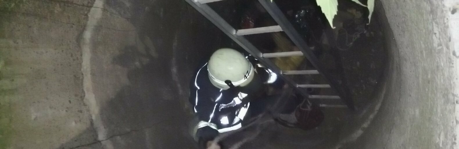  ���������� ������ ��������� �������� ������� ����������� 