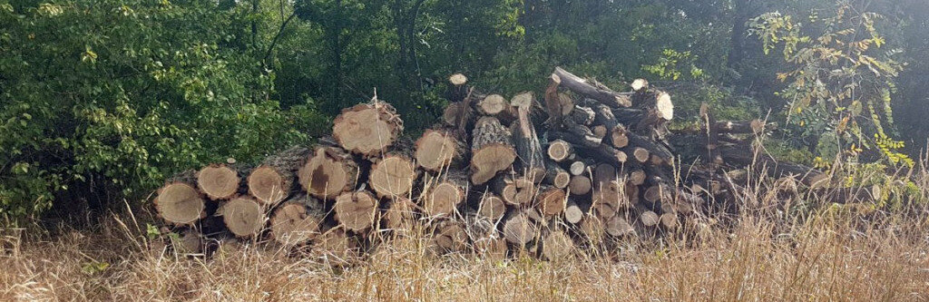  �������� ������� ������� ������������� ����������� ������ ������� ���� 