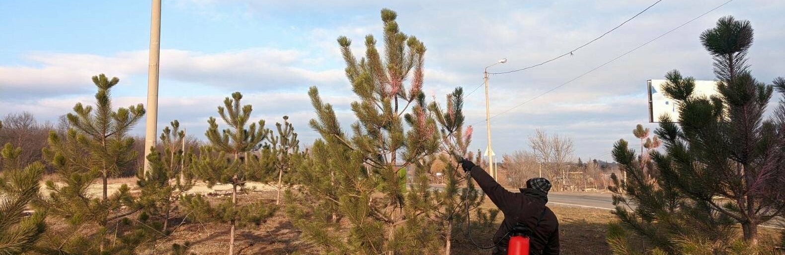  ������� ������ ������� ���� 