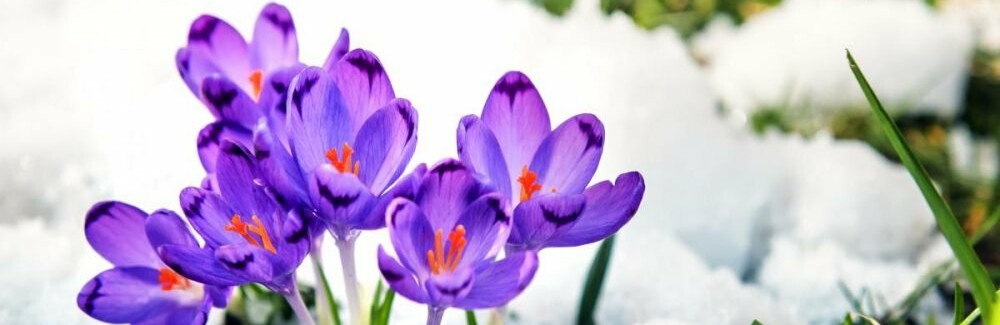 ����: 06274.com.ua