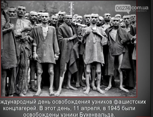 11 апреля мир отмечает Международный день освобождения узн..., фото-1 11 апреля мир отмечает Международный день освобождения узников нацистских концлагерей, фото-1