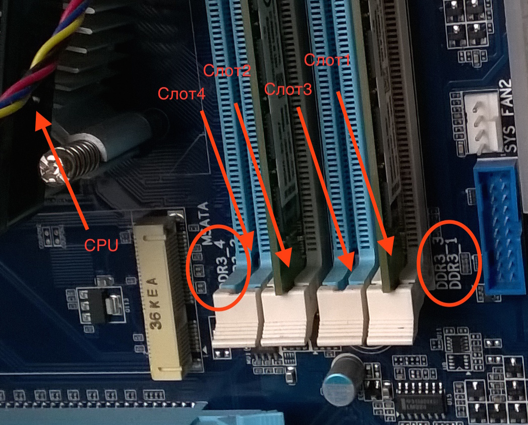 Зачем 4 слота под оперативную память - Бізнес новини Бахмута