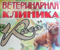 kopiia_sam_36151332747925